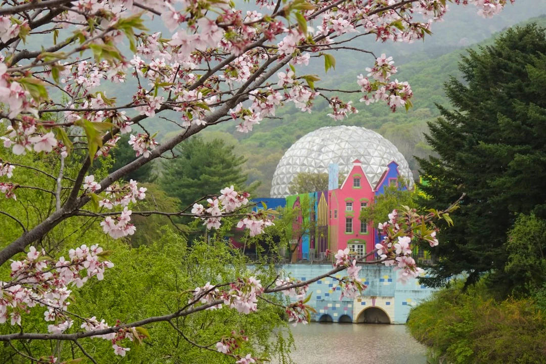 Seoul Land Theme Park Ticket Price